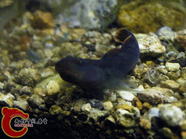 DSCF5584.JPG