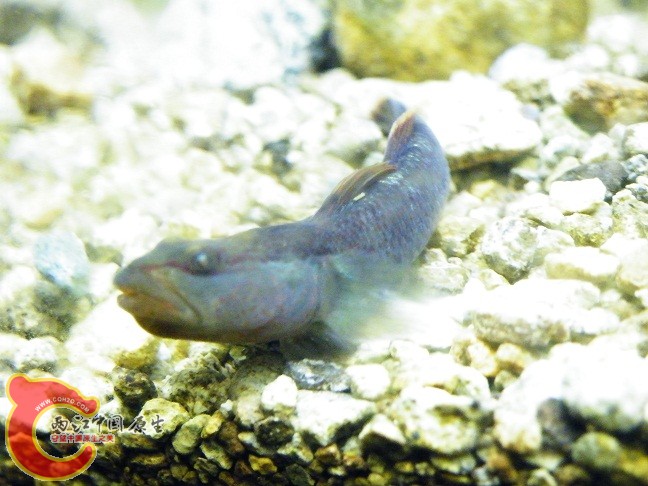 DSCF5585.JPG