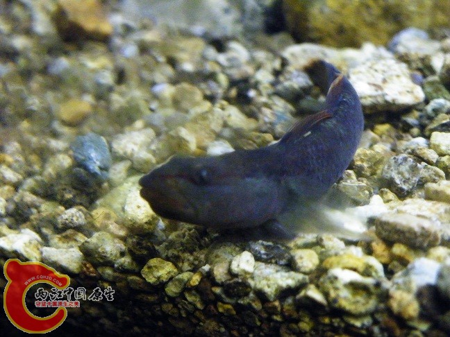 DSCF5588.JPG