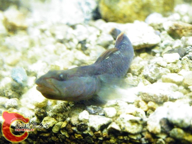 DSCF5586.JPG