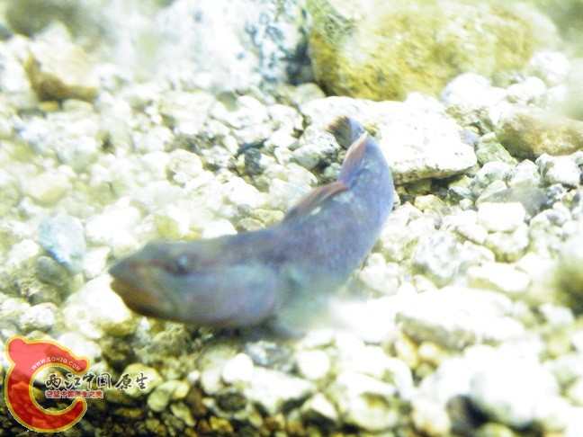 DSCF5589.JPG