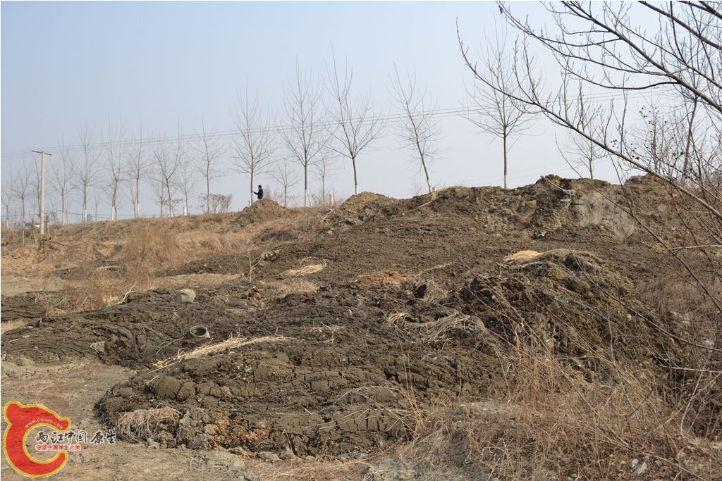 201102051243.JPG