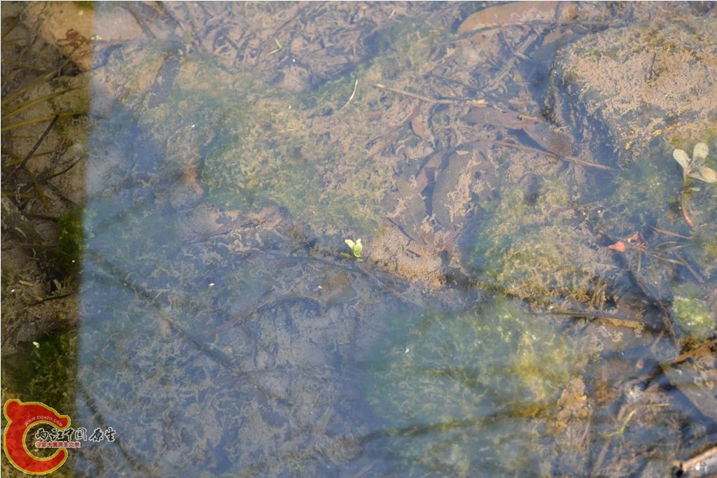 201102051246.JPG