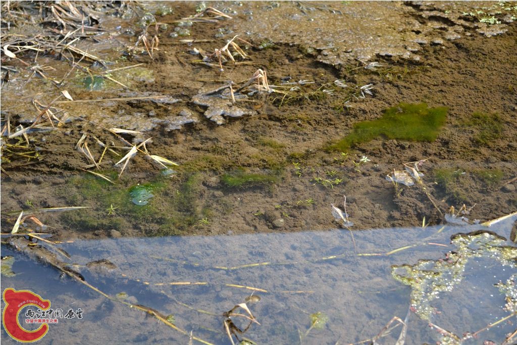 201102051252.JPG