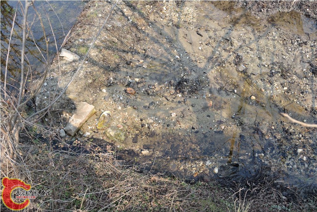 201102051255.JPG
