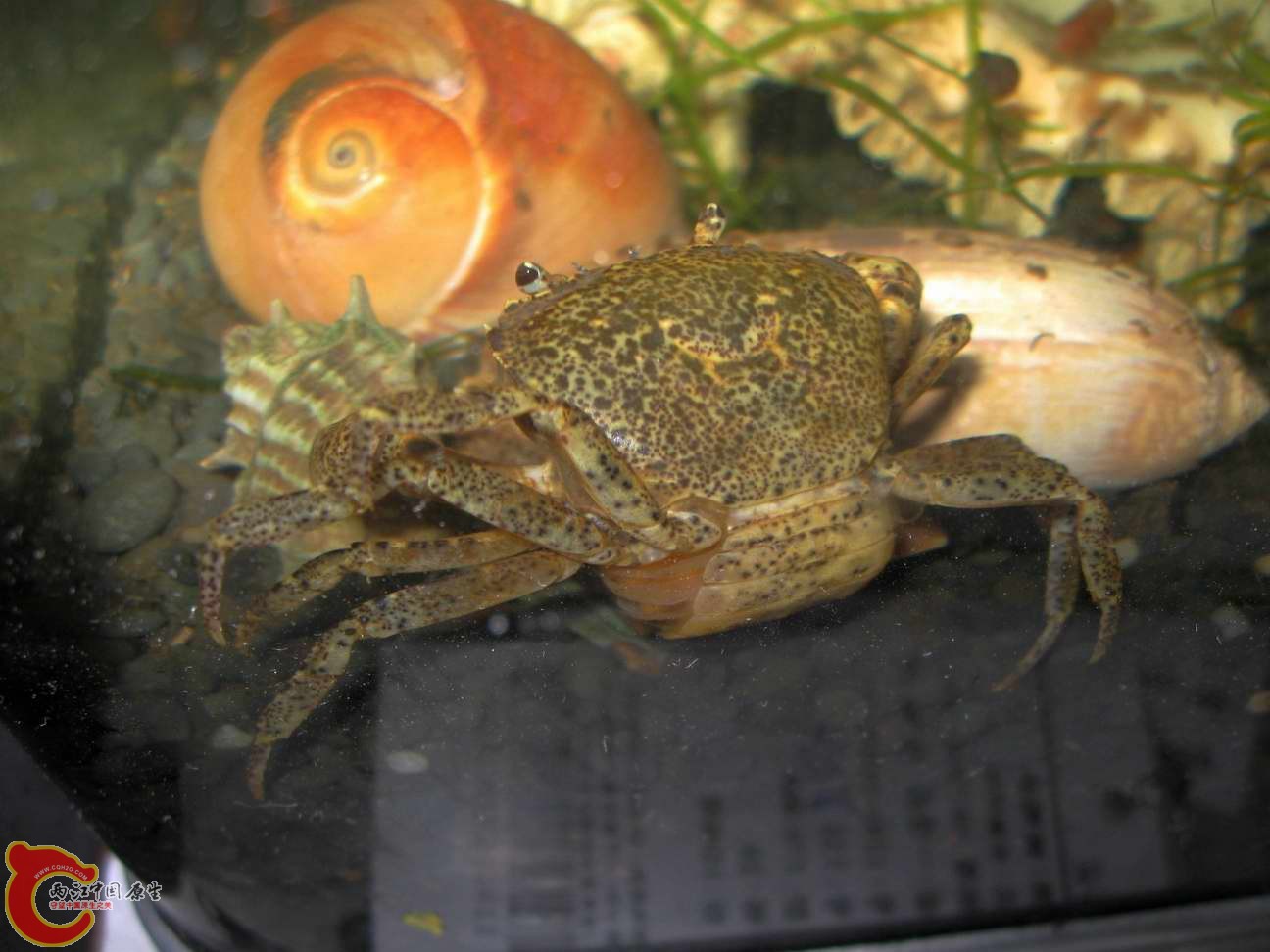 调整大小 照片 060.jpg