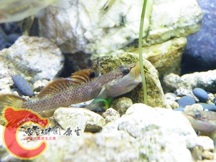DSCF5672.JPG