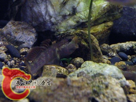 DSCF5671.JPG