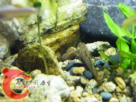 DSCF5669.JPG