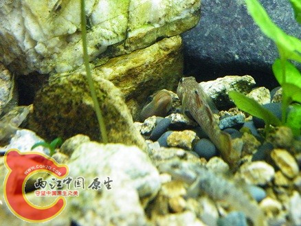 DSCF5670.JPG