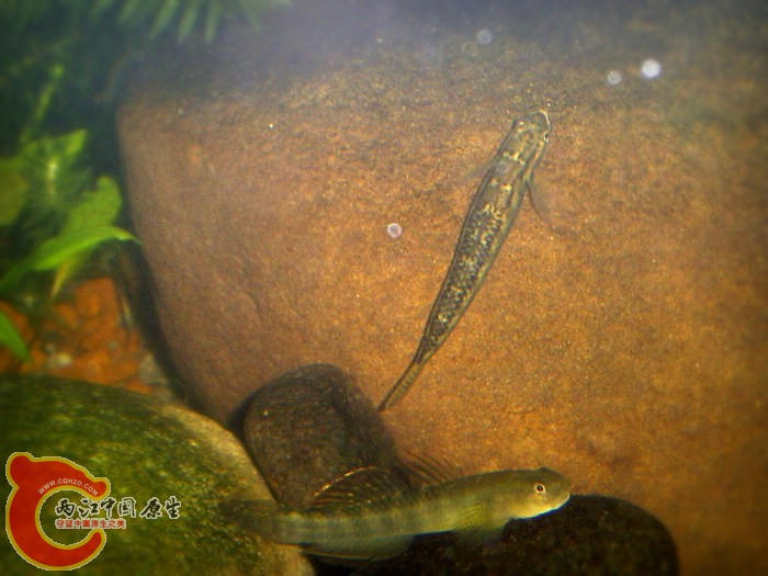 S5030085.JPG