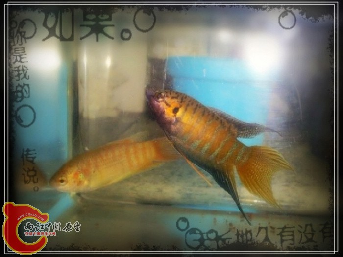 S5030013。.jpg