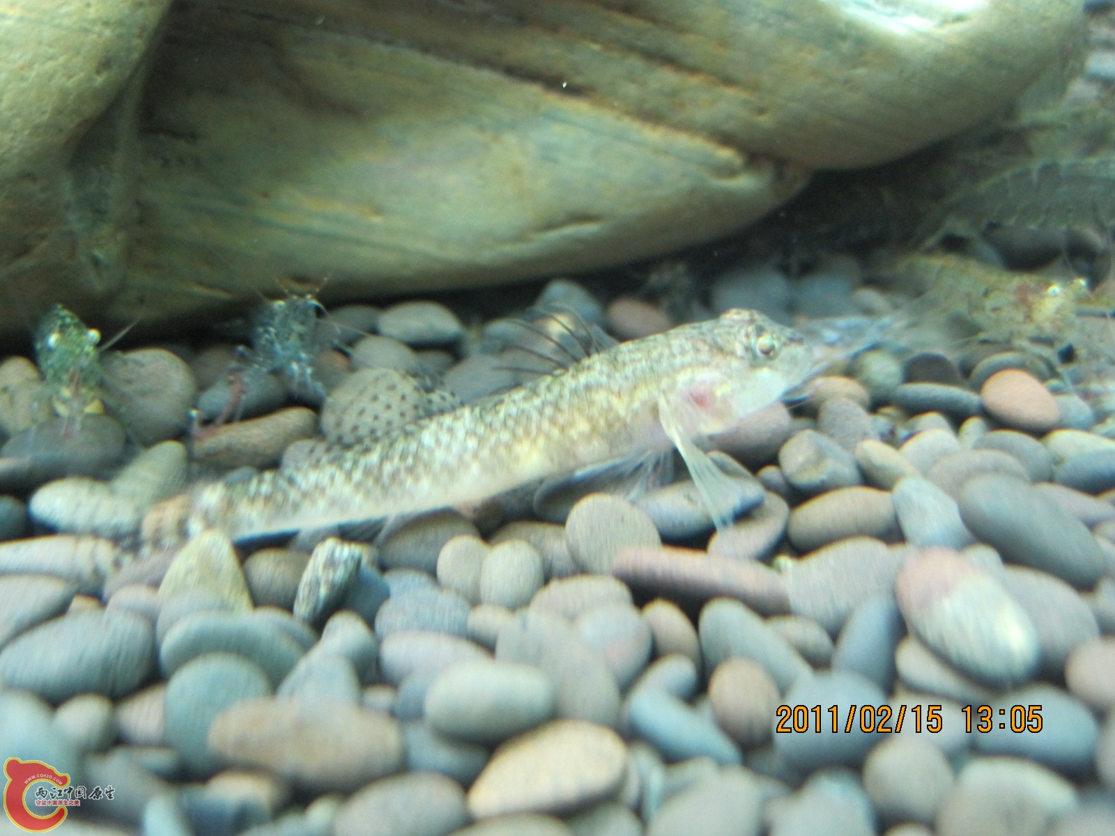IMG_2244.jpg