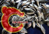 bd7042601fb902ec8db10de1.jpg