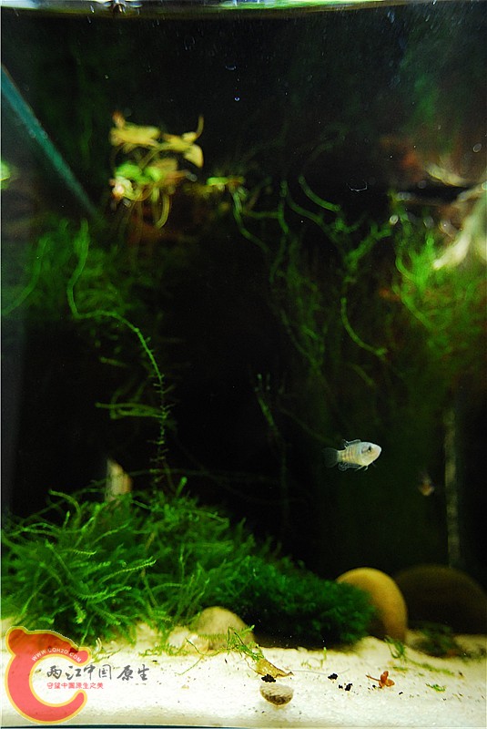 DSC_0776_副本.jpg