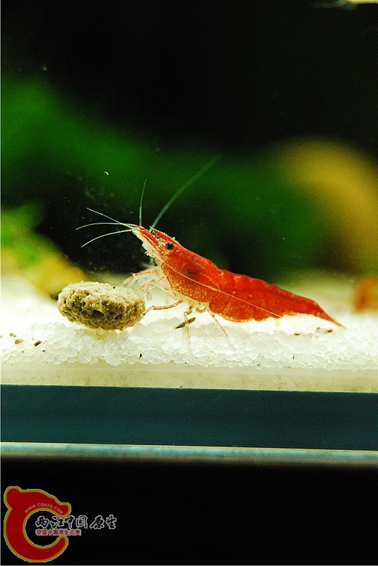 DSC_0797_副本.jpg