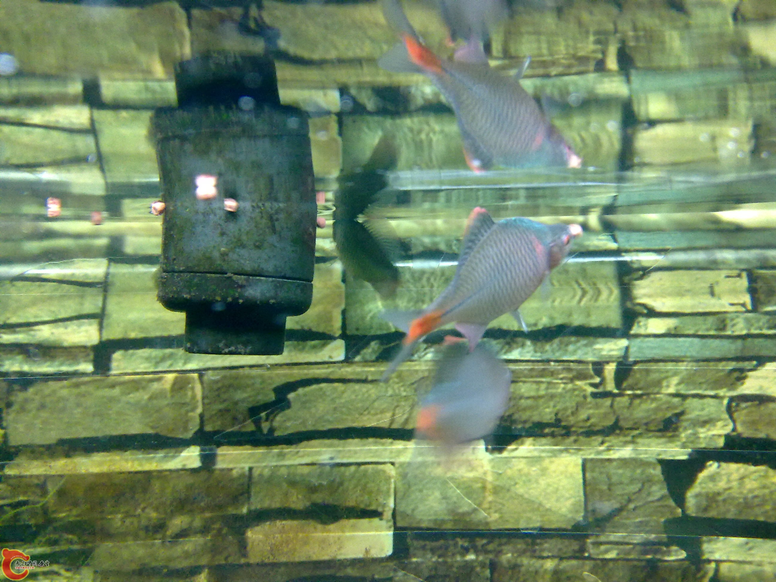 20110217641.jpg