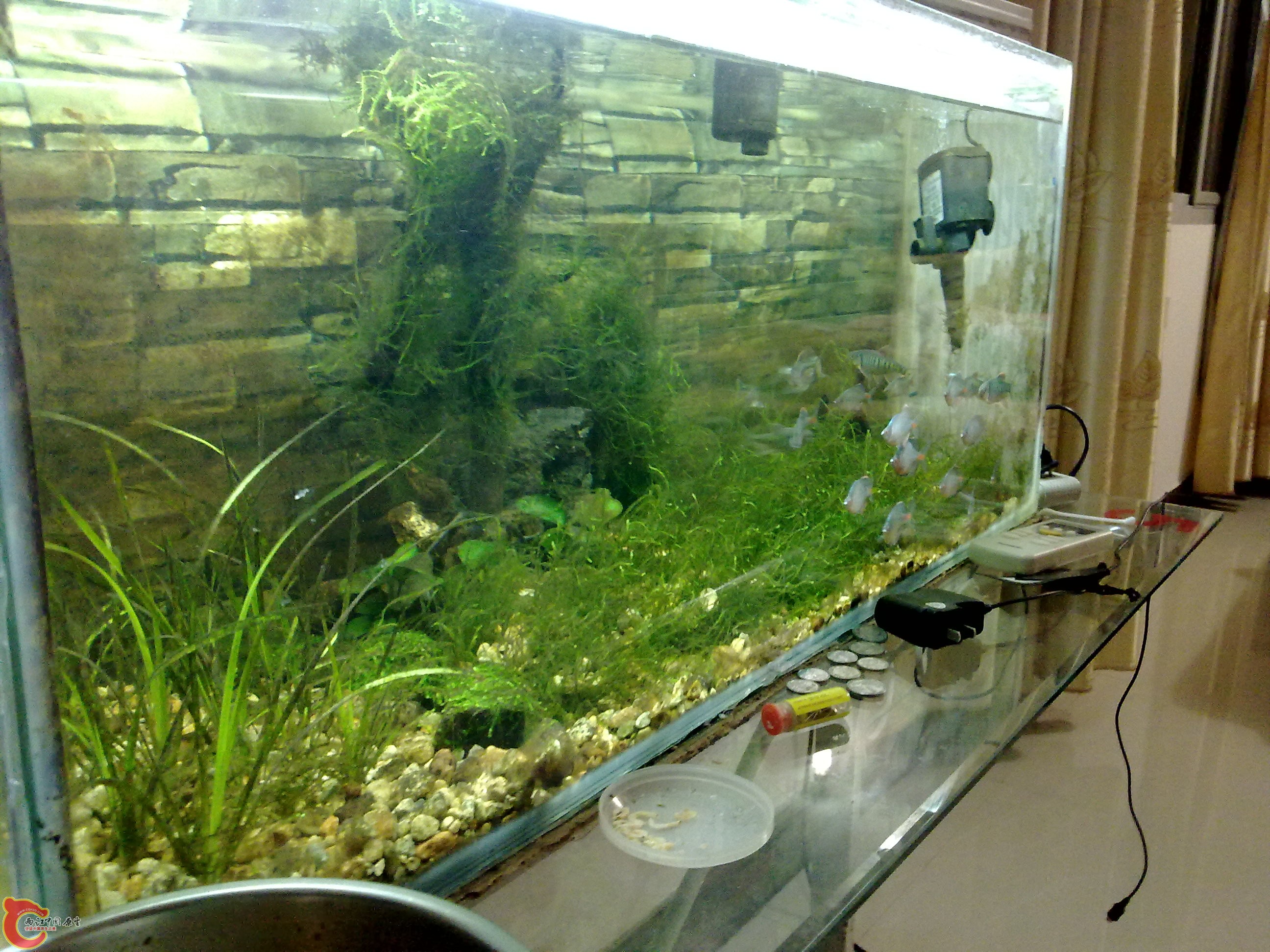 20110217712.jpg