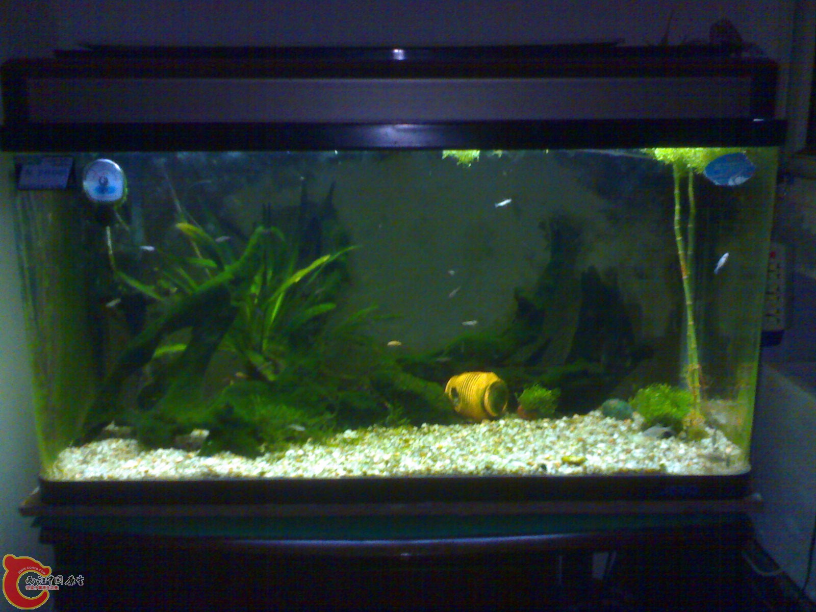 201102181407.jpg