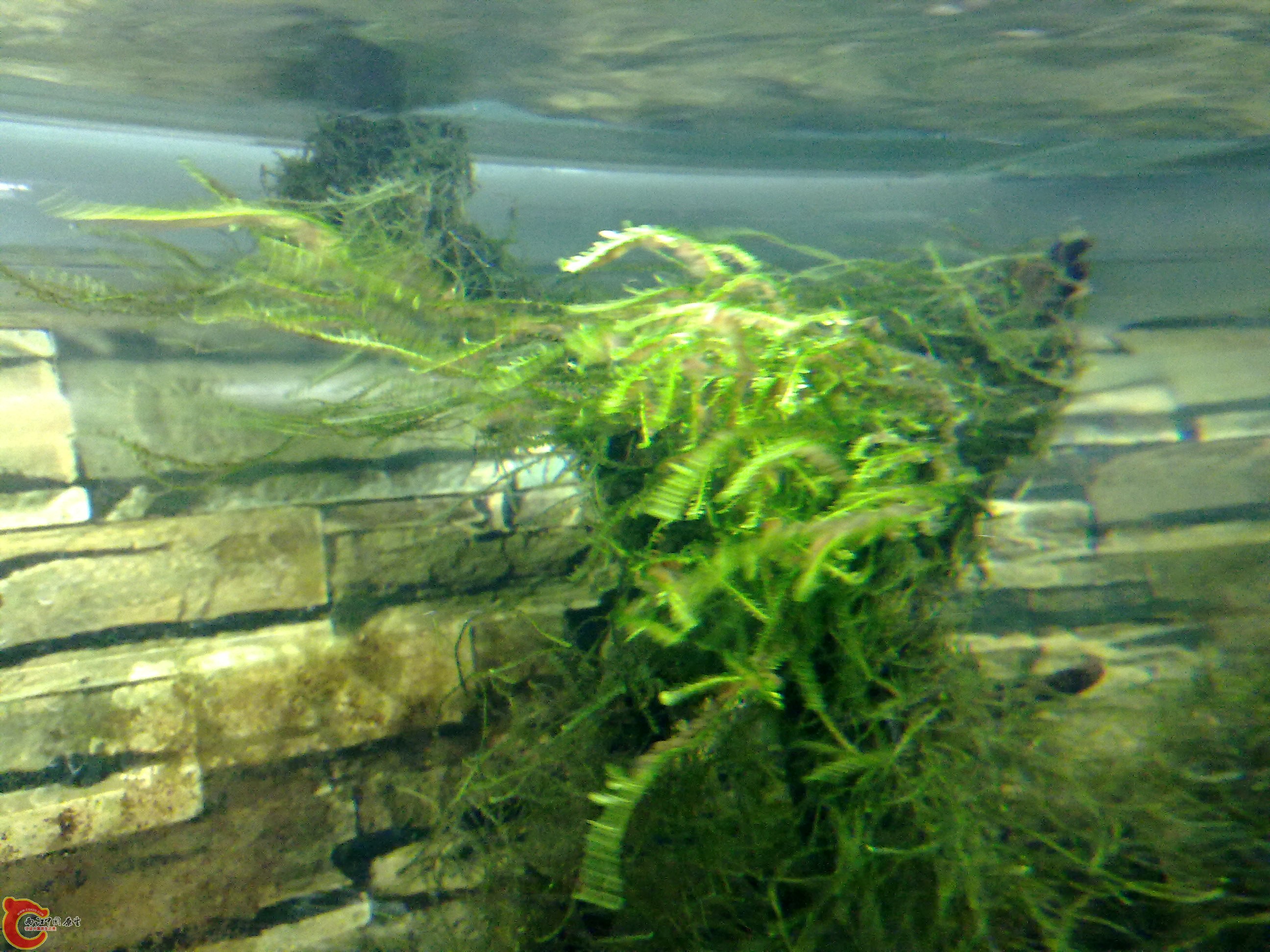 20110219902.jpg