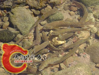 201052815542413622.jpg