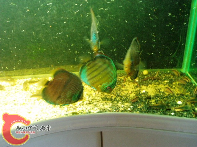 P1010037.JPG