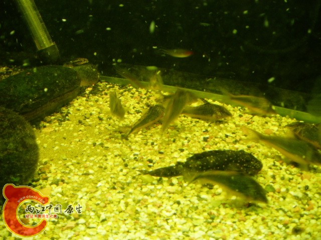P1010056.JPG