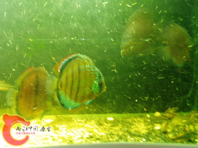 P1010039.JPG
