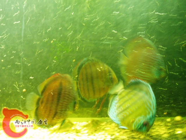 P1010038.JPG