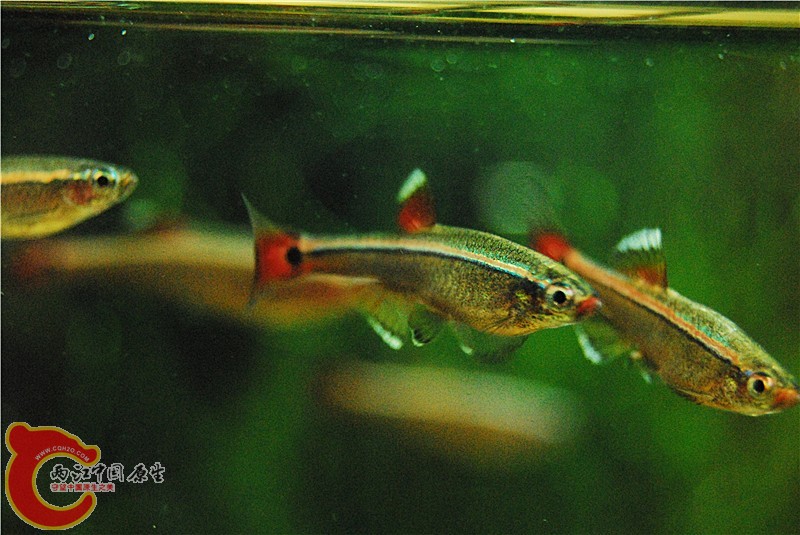 DSC_0913_副本.jpg