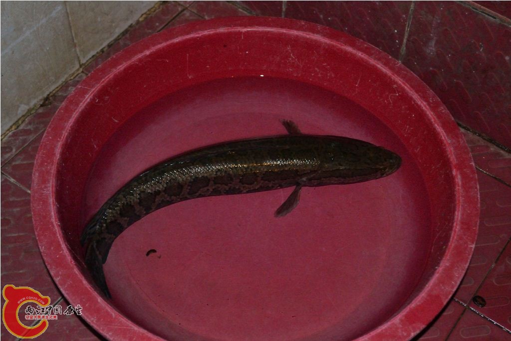 201102191559.JPG