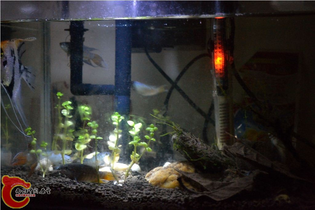 201102191566.JPG