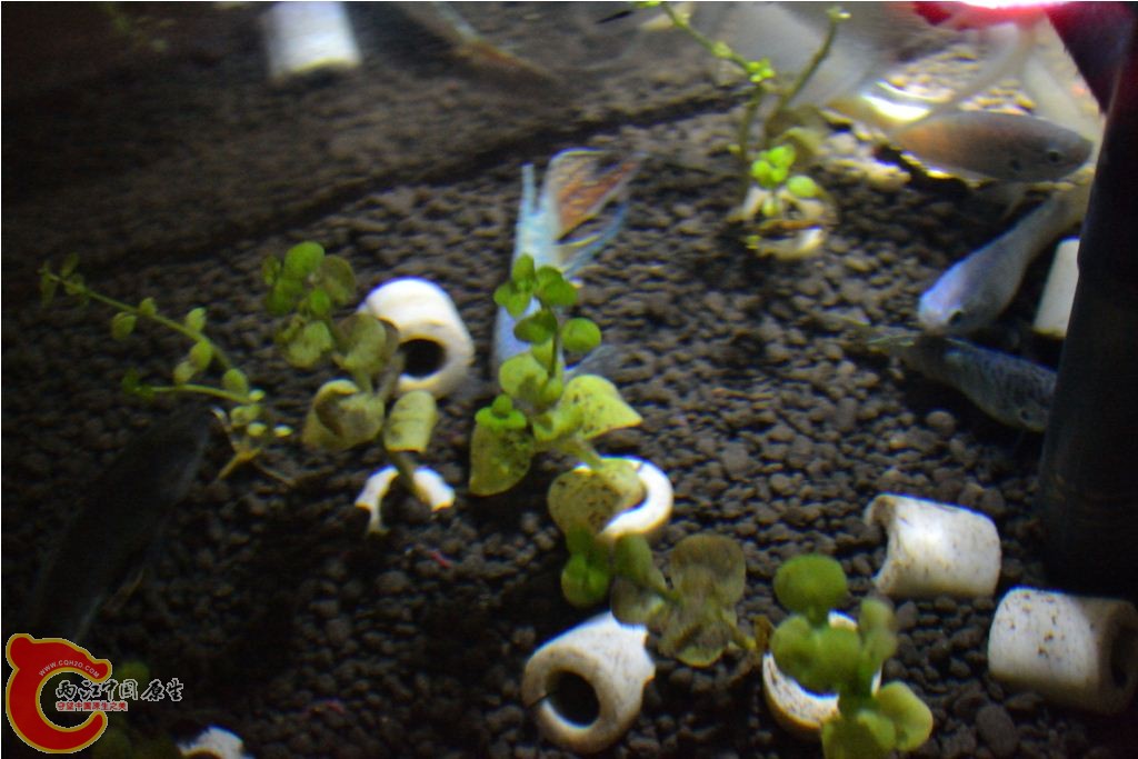 201102191572.JPG