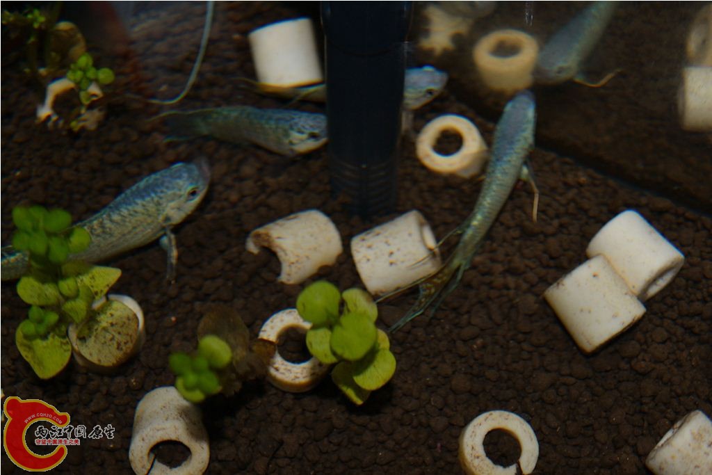 201102191574.JPG