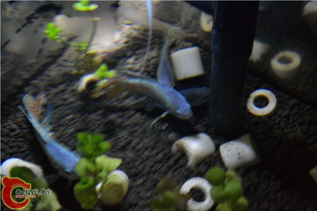 201102191573.JPG