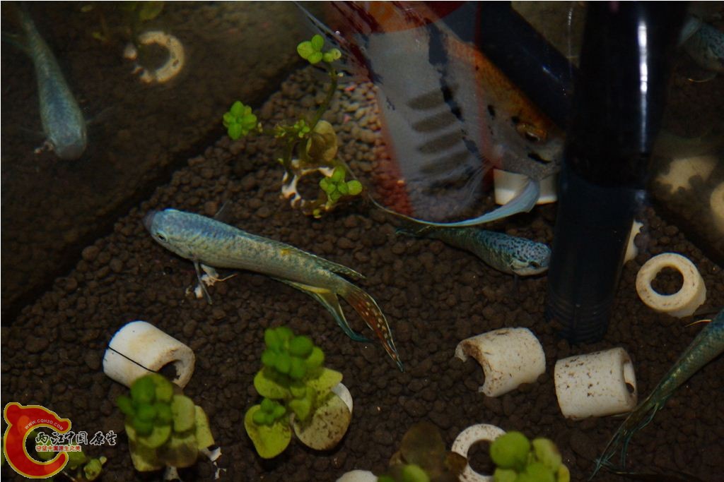 201102191577.JPG